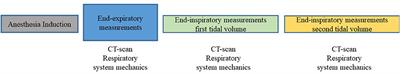 Evaluation of Lung Aeration and Respiratory System Mechanics in Obese Dogs Ventilated With Tidal Volumes Based on Ideal vs. Current Body Weight